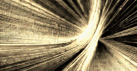 The Quantum Banks: Why a Pilot Test of Post-Quantum Wallets Is the Signal That Matters The Quantum Banks: Why a Pilot Test of Post-Quantum Wallets Is the Signal That Matters