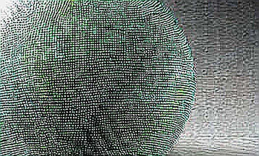 The Invariant Breaks: How Trump’s Iran Comments Forced a Re-Routing of Capital on Layer2 The Invariant Breaks: How Trump’s Iran Comments Forced a Re-Routing of Capital on Layer2