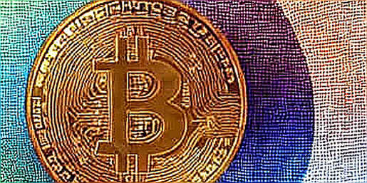 Beneath the Jersey Patch: Why the Cucurella Transfer Exposes Crypto-Football’s Narrative Fault Line Beneath the Jersey Patch: Why the Cucurella Transfer Exposes Crypto-Football’s Narrative Fault Line